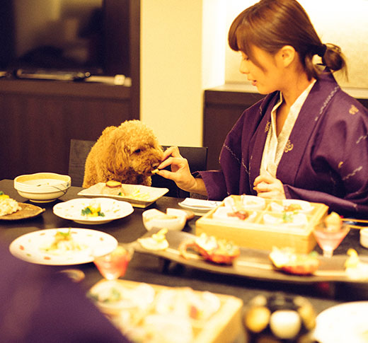 イメージ：愛犬と泊まれる宿